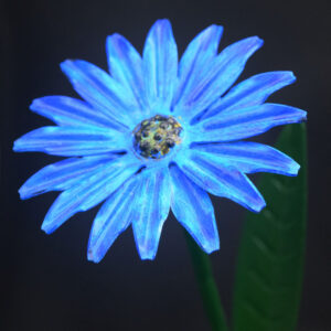 Close-up of handcrafted blue metal daisy flower sculpture by NK Creations