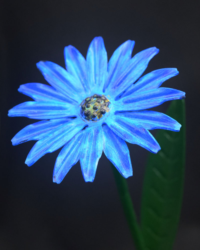 Close-up of handcrafted blue metal daisy flower sculpture by NK Creations