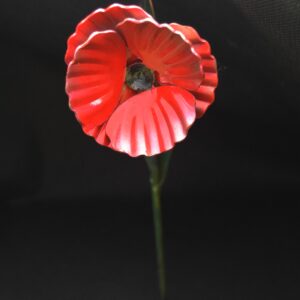 Poppy
