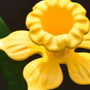 Yellow Daffodil