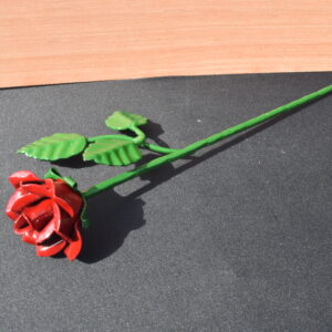 Lovers Rose