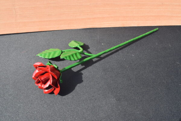 Lovers Rose