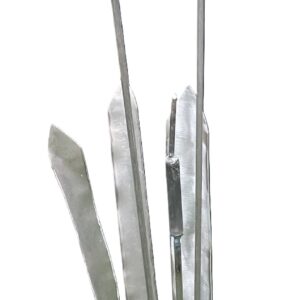 Bulrushes